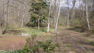 長野県菅平高原 ゆたか山荘 坂上 2026/04/28 14:15