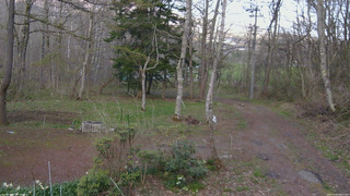 長野県菅平高原 ゆたか山荘 坂上 2026/04/28 16:15
