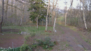 長野県菅平高原 ゆたか山荘 坂上 2026/04/28 17:15