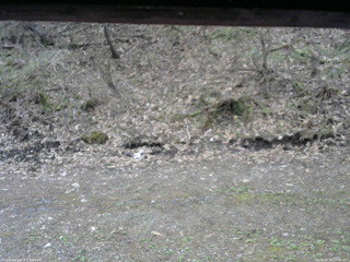 長野県菅平高原 ゆたか山荘 東側(坂下) 2026/04/29 10:00