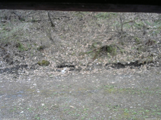 長野県菅平高原 ゆたか山荘 東側(坂下) 2026/04/29 12:00