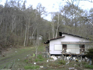 長野県菅平高原 ゆたか山荘 西側(坂上) 2026/04/29 06:00
