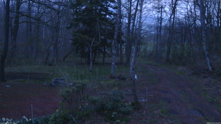 長野県菅平高原 ゆたか山荘 坂上 2026/04/29 05:00