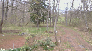 長野県菅平高原 ゆたか山荘 坂上 2026/04/29 06:45