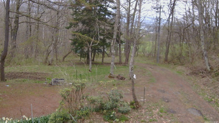 長野県菅平高原 ゆたか山荘 坂上 2026/04/29 07:45