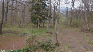 長野県菅平高原 ゆたか山荘 坂上 2026/04/29 08:00