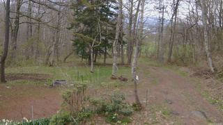 長野県菅平高原 ゆたか山荘 坂上 2026/04/29 08:15