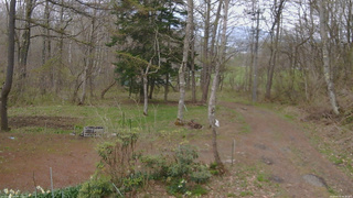 長野県菅平高原 ゆたか山荘 坂上 2026/04/29 08:30