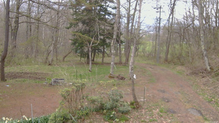 長野県菅平高原 ゆたか山荘 坂上 2026/04/29 08:45