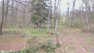 長野県菅平高原 ゆたか山荘 坂上 2026/04/29 09:00