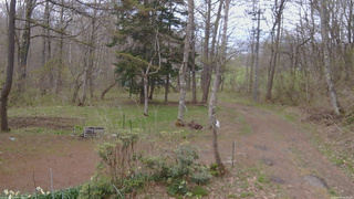 長野県菅平高原 ゆたか山荘 坂上 2026/04/29 09:15