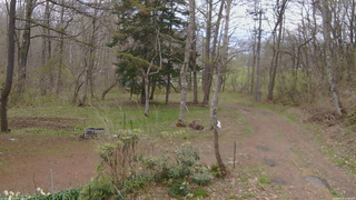 長野県菅平高原 ゆたか山荘 坂上 2026/04/29 10:00