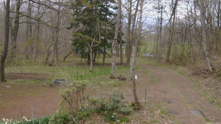長野県菅平高原 ゆたか山荘 坂上 2026/04/29 10:30