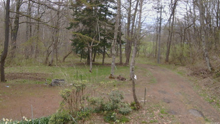 長野県菅平高原 ゆたか山荘 坂上 2026/04/29 10:45