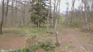 長野県菅平高原 ゆたか山荘 坂上 2026/04/29 11:00