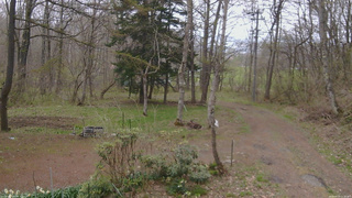 長野県菅平高原 ゆたか山荘 坂上 2026/04/29 11:15