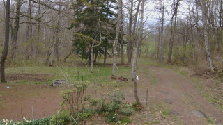 長野県菅平高原 ゆたか山荘 坂上 2026/04/29 11:30