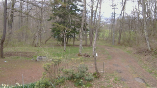 長野県菅平高原 ゆたか山荘 坂上 2026/04/29 12:00