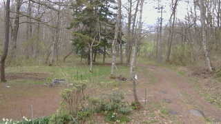 長野県菅平高原 ゆたか山荘 坂上 2026/04/29 12:15