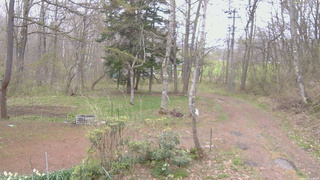 長野県菅平高原 ゆたか山荘 坂上 2026/04/29 13:00