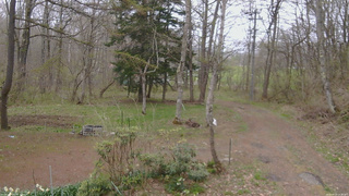 長野県菅平高原 ゆたか山荘 坂上 2026/04/29 13:30