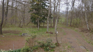 長野県菅平高原 ゆたか山荘 坂上 2026/04/29 13:45