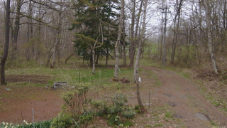 長野県菅平高原 ゆたか山荘 坂上 2026/04/29 14:15