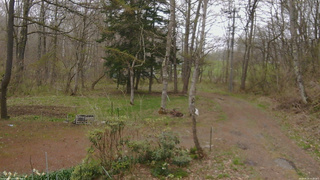 長野県菅平高原 ゆたか山荘 坂上 2026/04/29 15:00