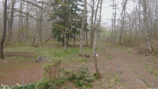 長野県菅平高原 ゆたか山荘 坂上 2026/04/29 17:30