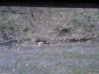長野県菅平高原 ゆたか山荘 東側(坂下) 2026/04/30 05:00