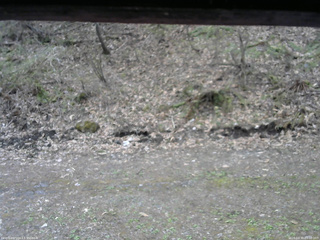 長野県菅平高原 ゆたか山荘 東側(坂下) 2026/04/30 09:00