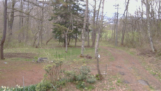 長野県菅平高原 ゆたか山荘 坂上 2026/04/30 08:00