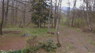長野県菅平高原 ゆたか山荘 坂上 2026/04/30 08:15