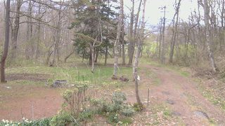 長野県菅平高原 ゆたか山荘 坂上 2026/04/30 09:00