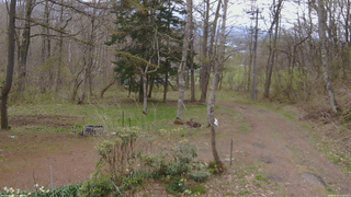 長野県菅平高原 ゆたか山荘 坂上 2026/04/30 10:15