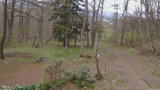 長野県菅平高原 ゆたか山荘 坂上 2026/04/30 11:00