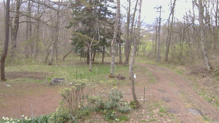 長野県菅平高原 ゆたか山荘 坂上 2026/04/30 11:15