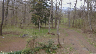 長野県菅平高原 ゆたか山荘 坂上 2026/04/30 11:45