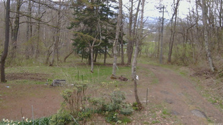 長野県菅平高原 ゆたか山荘 坂上 2026/04/30 12:00