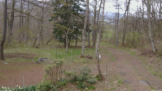 長野県菅平高原 ゆたか山荘 坂上 2026/04/30 12:15