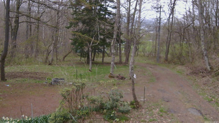 長野県菅平高原 ゆたか山荘 坂上 2026/04/30 14:00