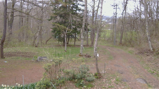 長野県菅平高原 ゆたか山荘 坂上 2026/04/30 14:30