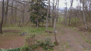 長野県菅平高原 ゆたか山荘 坂上 2026/04/30 16:15