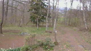 長野県菅平高原 ゆたか山荘 坂上 2026/04/30 17:45