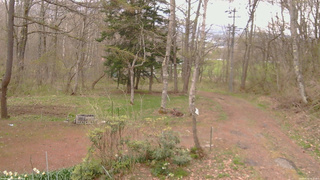 長野県菅平高原 ゆたか山荘 坂上 2026/04/30 18:15