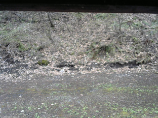 長野県菅平高原 ゆたか山荘 東側(坂下) 2026/05/01 13:15