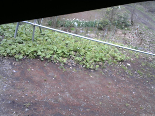 長野県菅平高原 ゆたか山荘 駐車場 2026/05/01 13:30