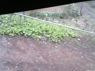 長野県菅平高原 ゆたか山荘 駐車場 2026/05/01 14:15