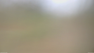 長野県菅平高原 ゆたか山荘 坂上 2026/05/01 08:30
