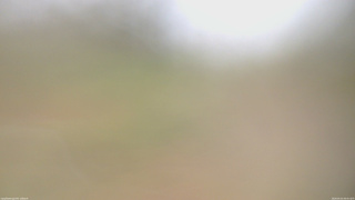 長野県菅平高原 ゆたか山荘 坂上 2026/05/01 08:45